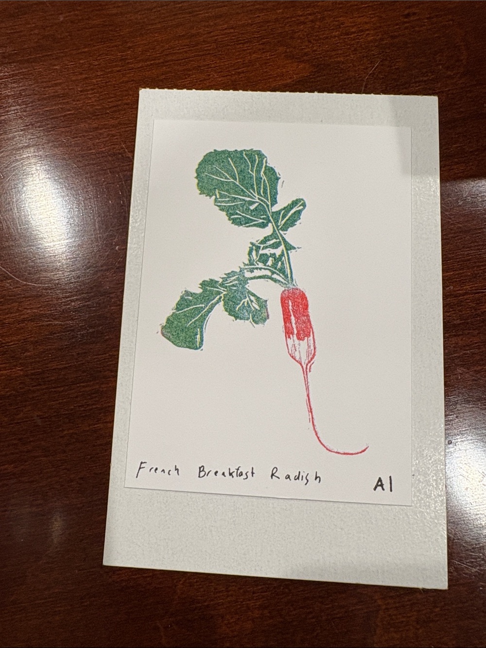 Anastasia inciardi mini print French Breakfast Radish